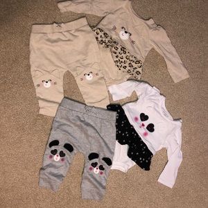 Animal Sets 🐼🐱